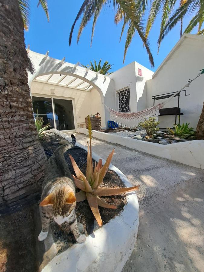 Palm Point Apartment Коста Калма Екстериор снимка